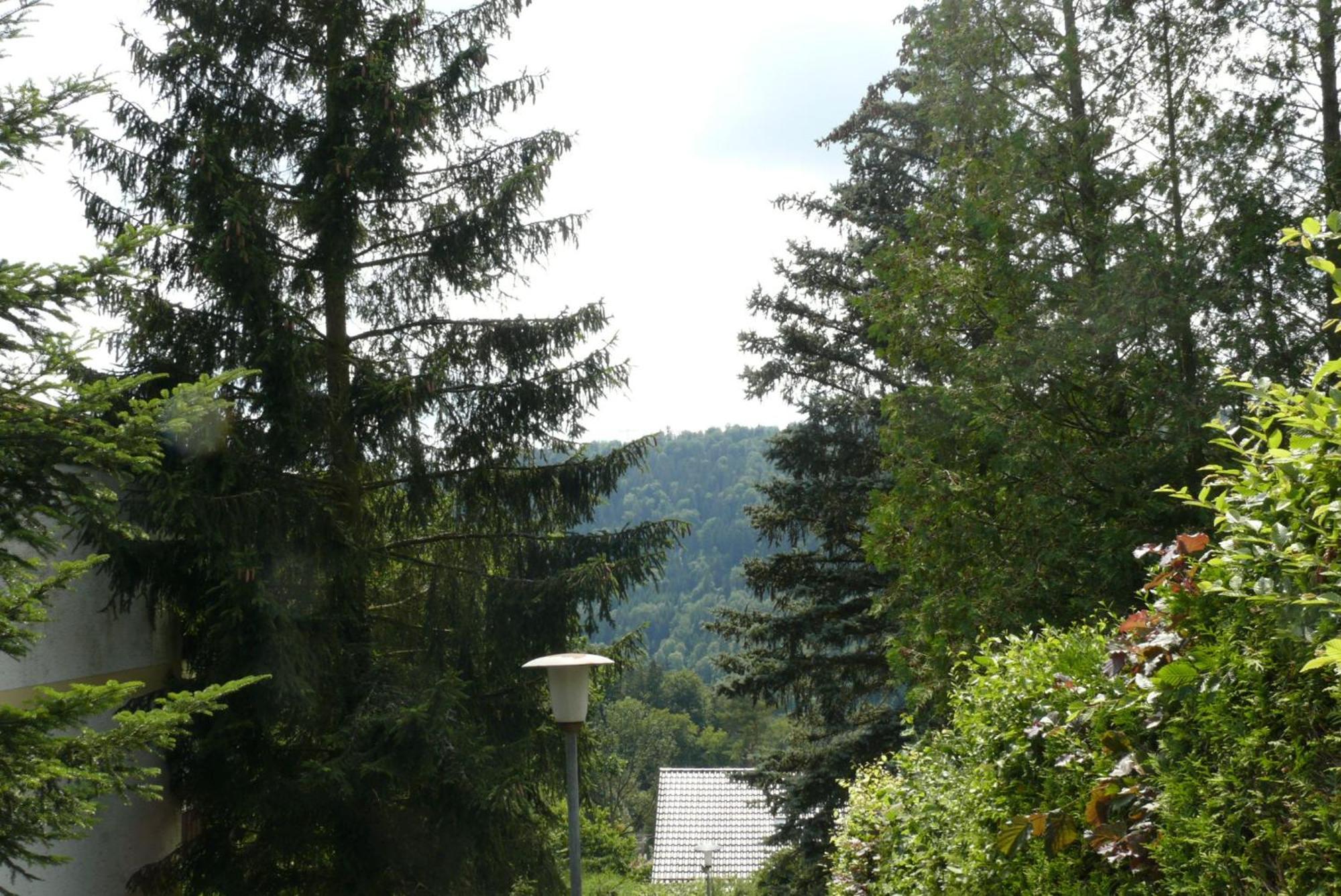Ferienwohnung Dittmar Am Kaffeehof Bad Liebenzell Exterior photo